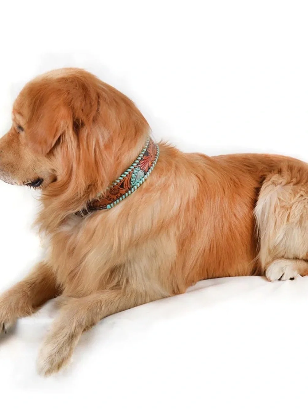 MYRA FULL BLOOM HAND-TOOLED LEATHER DOG COLLAR XL 22”-26”